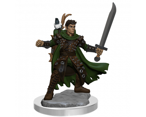 D&D Frameworks: Male Half-Elf Ranger - EN