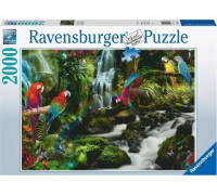 Ravensburger Puzzle 2000el Papugi w dżungli 171118 RAVENSBURGER