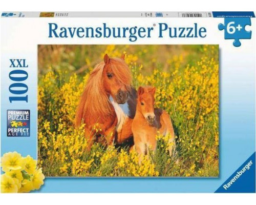 Ravensburger Shetland Ponies (100)