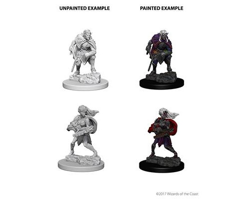 D&D Nolzur's Marvelous Miniatures - Drow