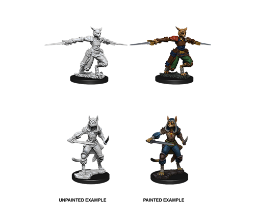 D&D Nolzur’s Marvelous Miniatures: Female Tabaxi Rogue