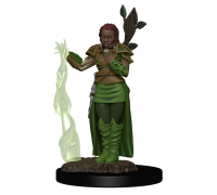 D&D Icons of the Realms Premium Figures: Human Female Druid