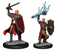 D&D Nolzur's Marvelous Miniatures: Half-Elf Paladin Male