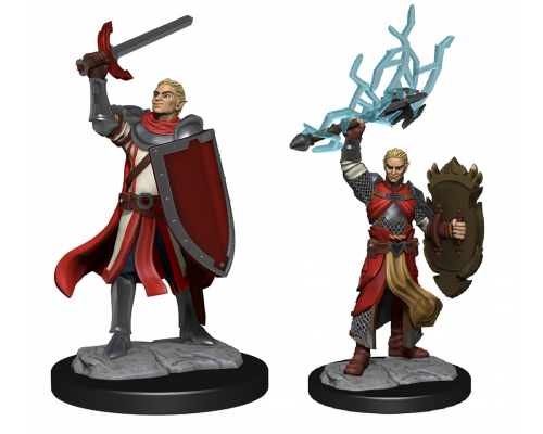 D&D Nolzur's Marvelous Miniatures: Half-Elf Paladin Male