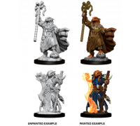 D&D Nolzur’s Marvelous Miniatures: Female Dragonborn Sorcerer