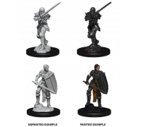 D&D Nolzur’s Marvelous Miniatures: Female Human Fighter