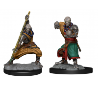 D&D Nolzur's Marvelous Miniatures: Warforged Monk