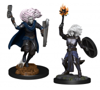 D&D Nolzur's Marvelous Miniatures: Changeling Cleric