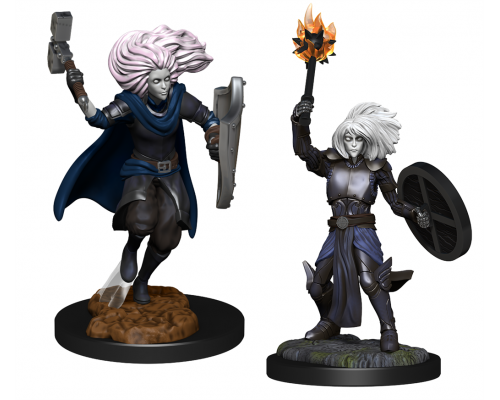 D&D Nolzur's Marvelous Miniatures: Changeling Cleric