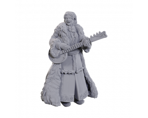 Dungeons & Dragons Nolzur's Marvelous Miniatures: Ansalon Human Bard