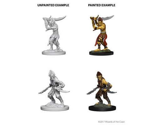 D&D Nolzur’s Marvelous Miniatures: Githyanki