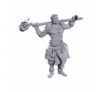 D&D Nolzur's Marvelous Miniatures: Archdruid & Martial Arts Adept