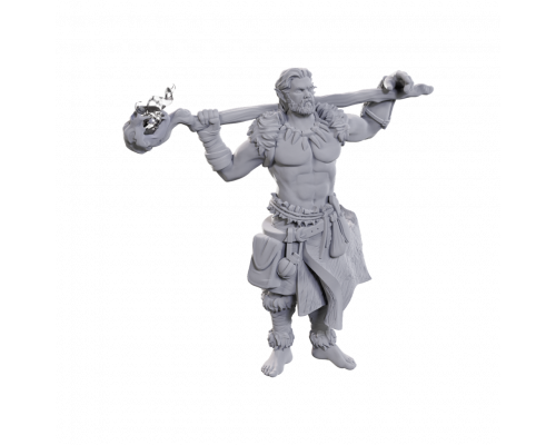 D&D Nolzur's Marvelous Miniatures: Archdruid & Martial Arts Adept