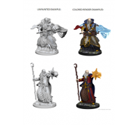 D&D Nolzur’s Marvelous Miniatures: Human Male Wizard