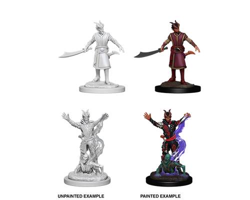 D&D Nolzur's Marvelous Miniatures: Male Tiefling Warlock