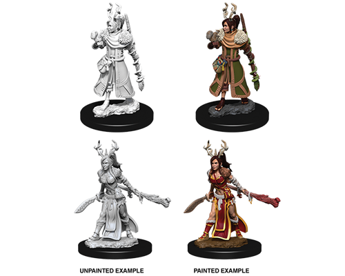 D&D Nolzur's Marvelous Miniatures - Female Human Druid