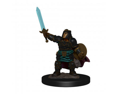 D&D Icons of the Realms: Premium Painted Figure - Dwarf Paladin Female