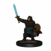 D&D Icons of the Realms: Premium Painted Figure - Dwarf Paladin Female