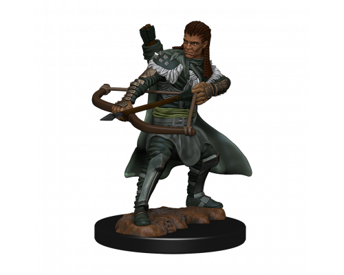 D&D Icons of the Realms: Premium Painted Figure - Human Ranger Male