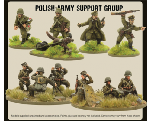 Bolt Action - Polish Army Support Group (HQ, Mortar & MMG) - EN