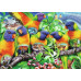 Ravensburger Puzzle 2D 1000 elementów Kraina Lorikeet