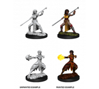 D&D Nolzur’s Marvelous Miniatures: Female Half-Elf Monk