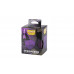Dragon Shield Strongbox Box - Clear Purple