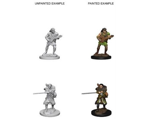 D&D Nolzur's Marvelous Miniatures - Human Male Bard