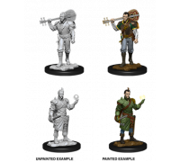 D&D Nolzur's Marvelous Miniatures: Male Half-Elf Bard