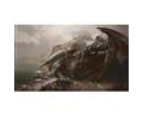 Kraken Wargames - TCG Witcher