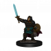 D&D Icons of the Realms Premium Figures: Dwarf Paladin Female