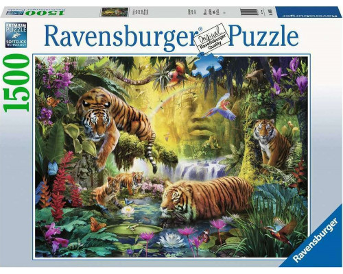 Ravensburger Puzzle 1500 elementów Tygrysy nad wodą