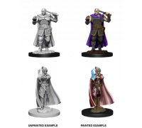 D&D Nolzur’s Marvelous Miniatures: Human Ranger & Moon Elf Sorcerer