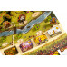 Welcome to Everdell Essentials Edition