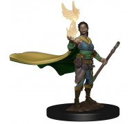 D&D Icons of the Realms Premium Figures: Elf Female Druid