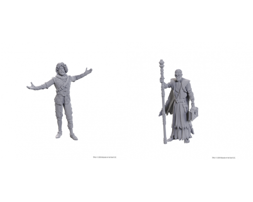 D&D Nolzur's Marvelous Miniatures: Special Edition Baldur's Gate 3 — Volo & Withers