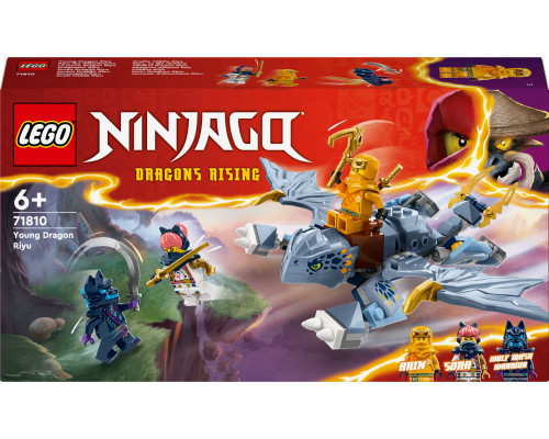 LEGO Ninjago Smoczątko Riyu (71810)