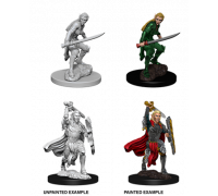 D&D Nolzur’s Marvelous Miniatures: Female Elf Fighter