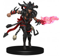 D&D Icons of the Realms: Set 10 Companion Starter Two - EN