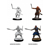 D&D Nolzur’s Marvelous Miniatures: Bandits