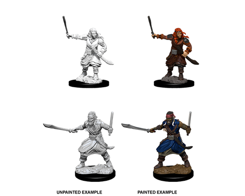 D&D Nolzur’s Marvelous Miniatures: Bandits