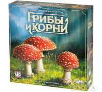 Грибы и корни