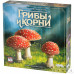 Грибы и корни