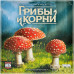 Грибы и корни