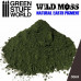 Pigment WILD MOSS