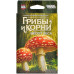 Грибы и корни: Шёпот леса