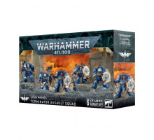 Space Marines: Terminator Assault Squad