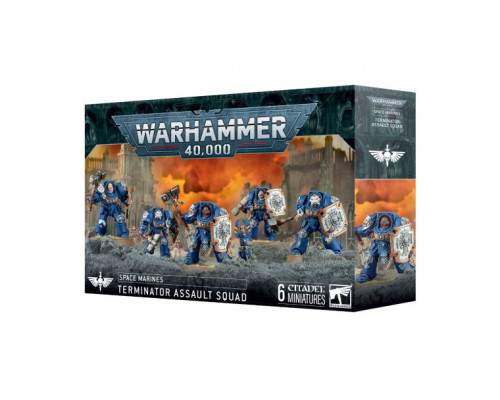 Space Marines: Terminator Assault Squad