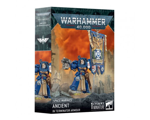 Space Marines: Ancient In Terminator Armour