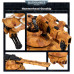 Warhammer 40,000: T'au Empire Hammerhead Gunship